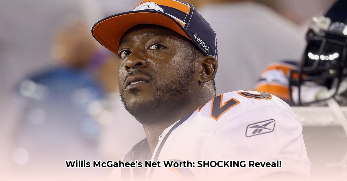 willis-mcgahee-net-worth